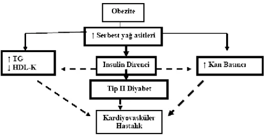 Şekil 1: Metobolik sendromda obezitenin rolü