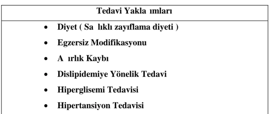 Tablo 4: Metabolik Sendromda Tedavi Yaklaşımları Tedavi Yaklaşımları