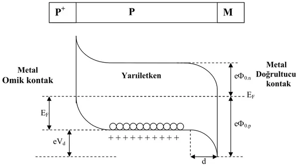 Şekil 2. 7.  P + PM yarıiletken diyot yapısının termal dengede enerji-bant diyagramı