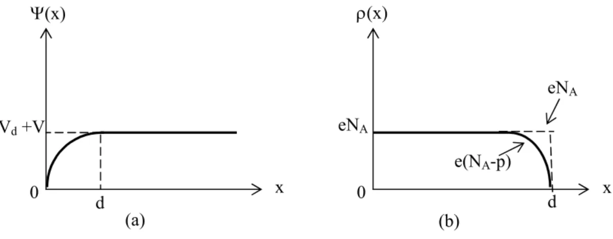 Şekil  2.8.  Metal  p-tipi  yarıiletken  yapılarda  doğrultucu  kontağın;  a)  Potansiyel  dağılımı, b) Yük dağılımı