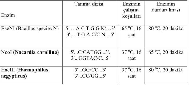 Tablo 8. Restriksiyon enzimlerinin tanıma dizileri ve tepkime koşulları 
