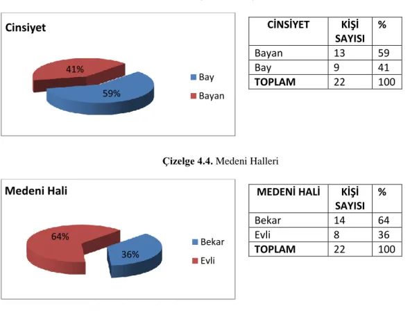 Çizelge 4.3. Cinsiyet