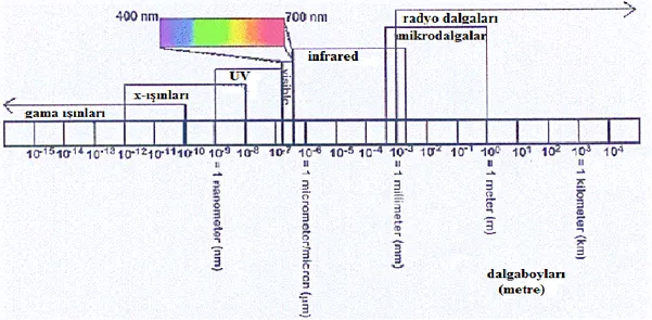 Şekil 2.7. Mikrodalga ve Diğer Elektromanyetik Dalgaların Dalgaboyları 