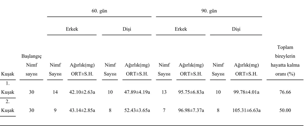 Tablo 6. Yağsız besinlerle beslenen M. truncatus’un 1. ve 2. kuşak erkek ve dişi nimf ve erginlerinin 60