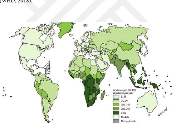 Şekil  1.1.  WHO  verilerine  göre  tahmini  TB  insidans  oranları,  2017.  ©  Copyright  World  Health 