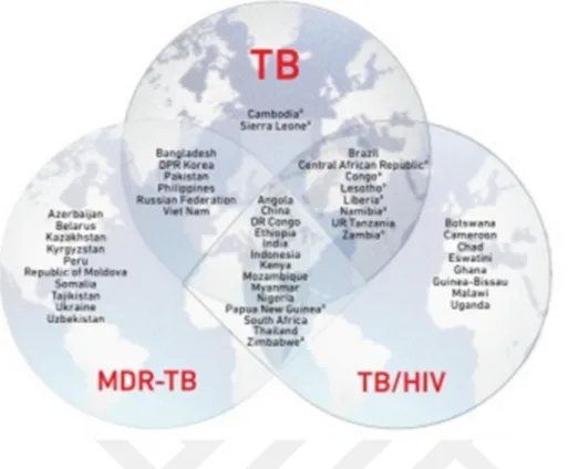 Şekil 1.2. Tahmini TB vaka oranları, 2017  
