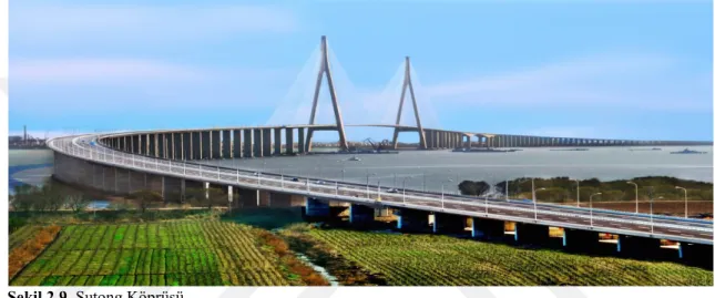 Şekil 2.9. Sutong Köprüsü 
