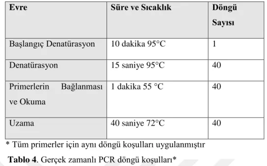 Şekil 6.Primerlerin bağlanma eğrileri 