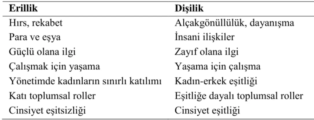Tablo 2 Güç Aralığı Sınıflaması (Hofstede, 2001, 2003) 