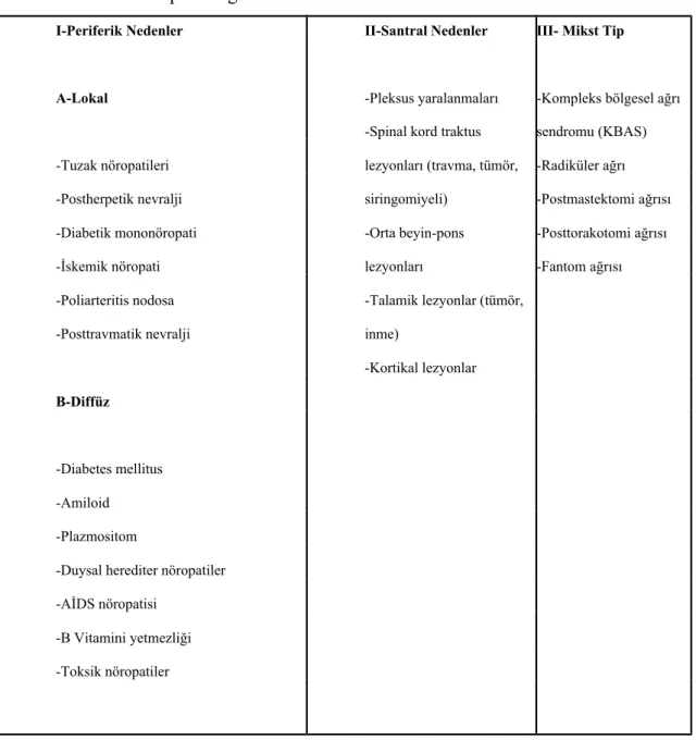 Tablo 6: Nöropatik Ağrı Nedenleri