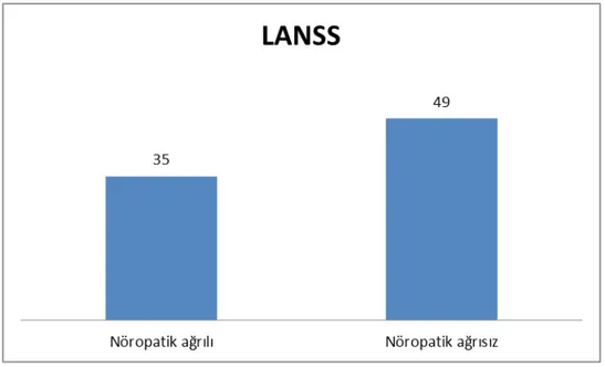 Şekil 5: Nöropatik Ağrı karakteri