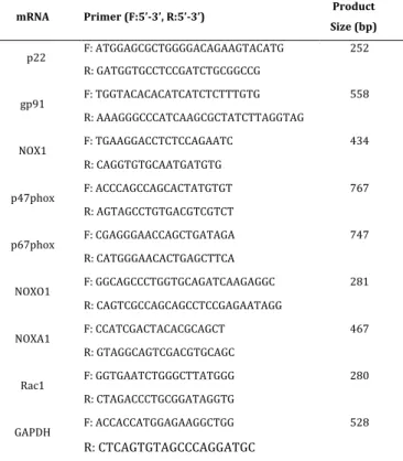 Table	1:	Primers	used	for	semi-quantitative	PCR	