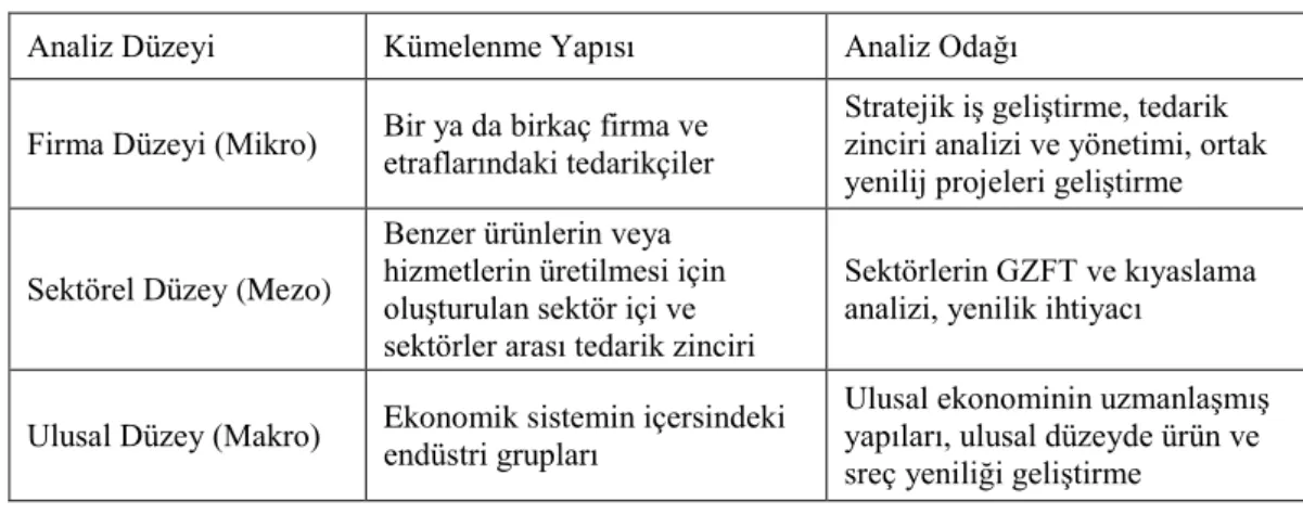 Tablo 2 5 : Kümelenme Seviyeleri  