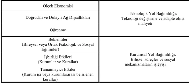 Tablo 4 7 : Teknolojik ve Kurumsal Yol Bağımlılıkları 