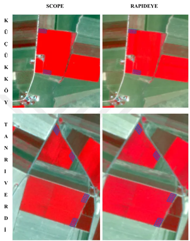 Şekil 3.3. Mardin/Kızıltepe/Tanrıverdi ve Mardin/Artuklu/Küçükköy lokasyonlarında bulunan deneme  parsellerinin SCOPE ve RAPIDEYE uydu görüntüleri 