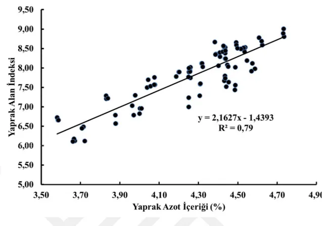 Şekil 4.2. Yaprak azot içeriği ile yaprak alan indeksi arasındaki değişim/regrasyon analizi 