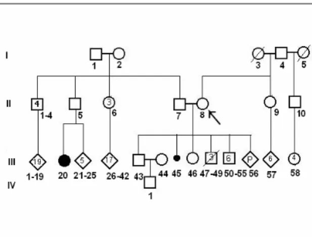Şekil 1. 47,XY,+13 karyotipli fetus taşıyıcı  olgu ve ailesine ait pedigri. 