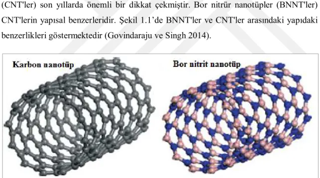 Şekil 1.1. CNT'lerin ve BNNT'lerin atomik yapıları benzerdir. B ve N atomları sırasıyla mavi ve pembe  