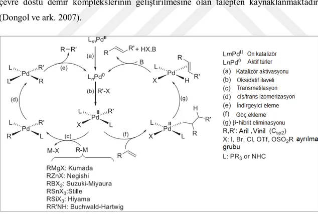 Şekil 1.13.  Paladyum katalizli çapraz eşleşme reaksiyonları için genel katalitik çevrimler (Gürbüz ve ark