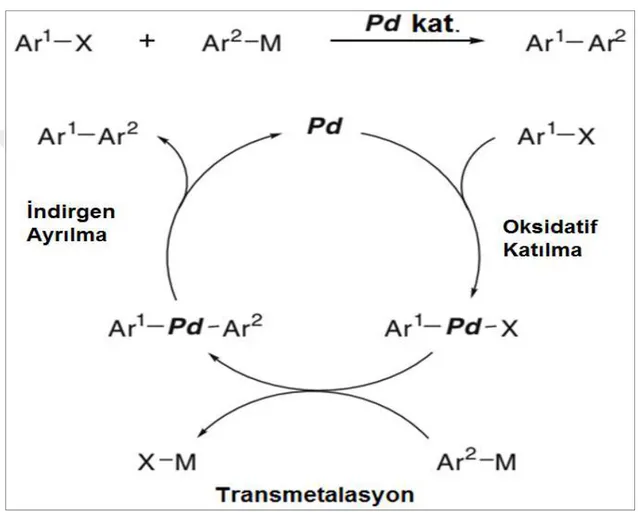 Şekil 1.14.  Paladyum katalizli çapraz eşleşme reaksiyonlarının katalitik bir çevrimi (Iwasaki ve Nishihara                      2013) 