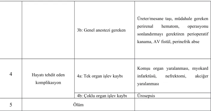 Tablo 4: Hastaların demografik verileri ve taşa ait veriler