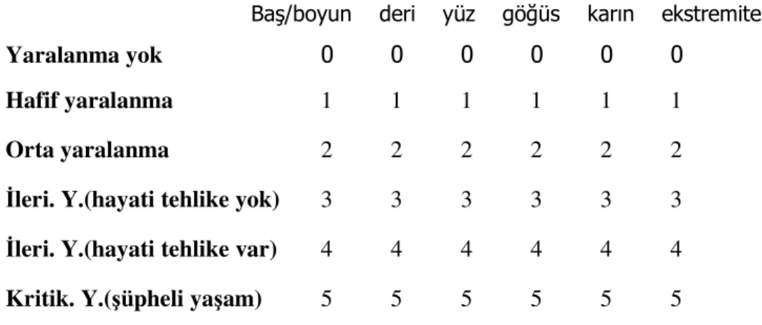 Tablo 12. Pediatrik travma skorlaması (22) 