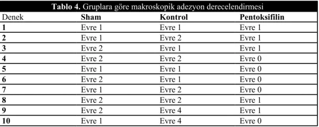 Tablo 4. Gruplara göre makroskopik adezyon derecelendirmesi
