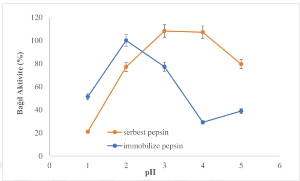 Şekil 4.3. pH değerinin pepsin aktivitesine etkisi; IgG derişimi: 2.0 mg/mL; zaman: 60 dak; t:  25.0°C