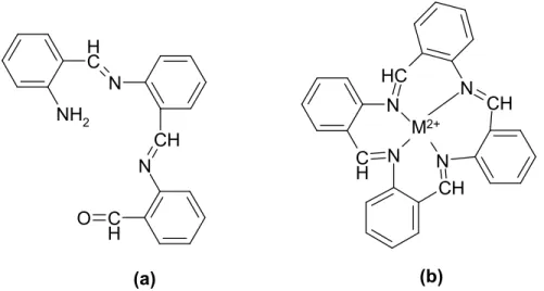 Şekil 1. 8. (a)- o-Aminobenzaldehitin kendi kendine kondenzasyonu sonucu oluşan  trimer ürün, (b)- metal iyonları varlığında oluşan dört dişli makrosiklik bileşik