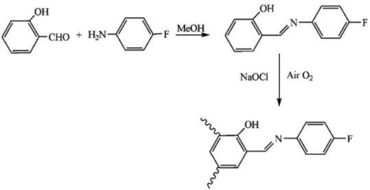 Şekil 2.13. Oligo-2-[ 4 (florofenil)imino metilen ] fenolün sentezi 