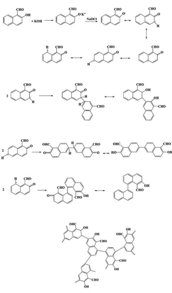 Şekil 3.2. 2-NAF’ın oksidatif polimerizasyon reaksiyon mekanizması 