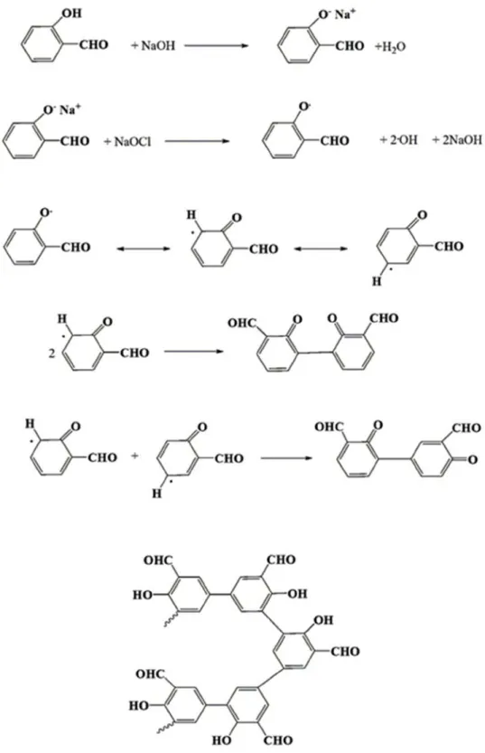 Şekil 3.3. 2-HBA’nın oksidatif polimerizasyon reaksiyon mekanizması
