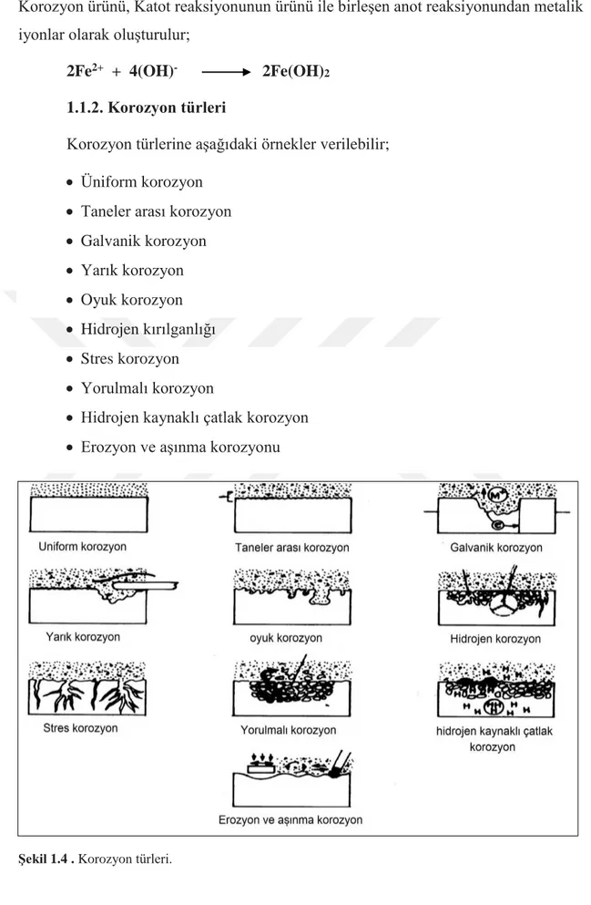 Şekil 1.4 . Korozyon türleri. 