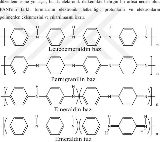 Şekil 1.3. PANI’nin farklı oksidasyon durumları (leucoemeraldin (LEB): tamamen azaltılmış; emeraldin                    (EB): yarı okside ve pernigranilin (PNB): tam okside)