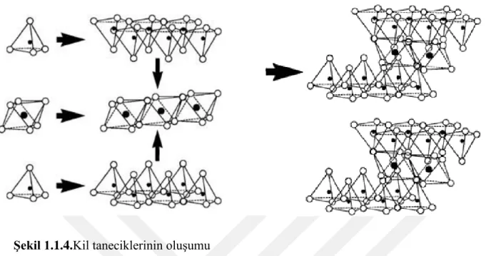 Çizelge 1.1.1. Killerin Taksonomisi 