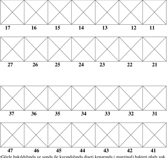 Şekil 3: Silness-Löe plak indeksi değerlendirme formu 