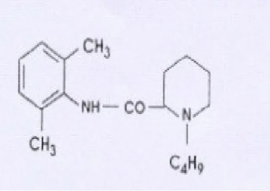 Şekil 14: Bupivakainin kimyasal yapısı (85)