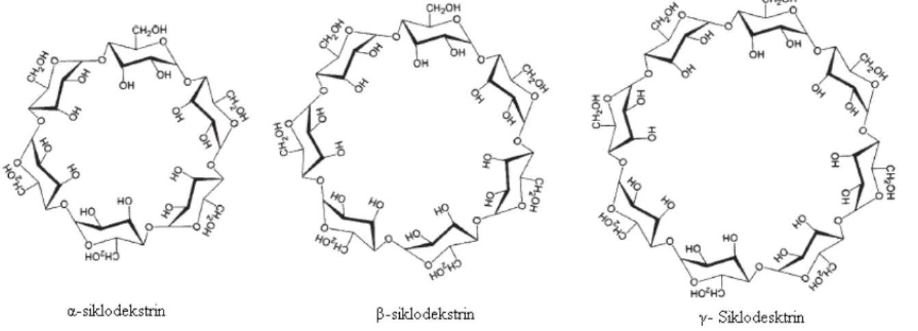 Şekil 1.14: Siklodekstrinin kavitesiyle etkileşen enantiyomerin şekilsel gösterimi (D’Acquarica 2000)