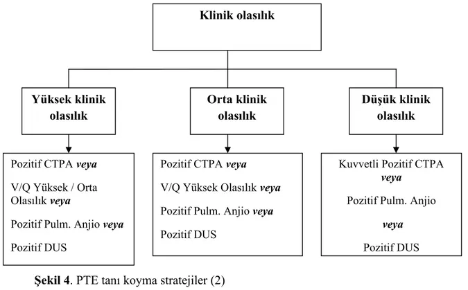 Şekil 4. PTE tanı koyma stratejiler (2)