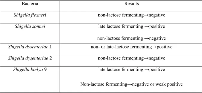 Table 2.4:  Results of some species and genera with lactose fermentation. 