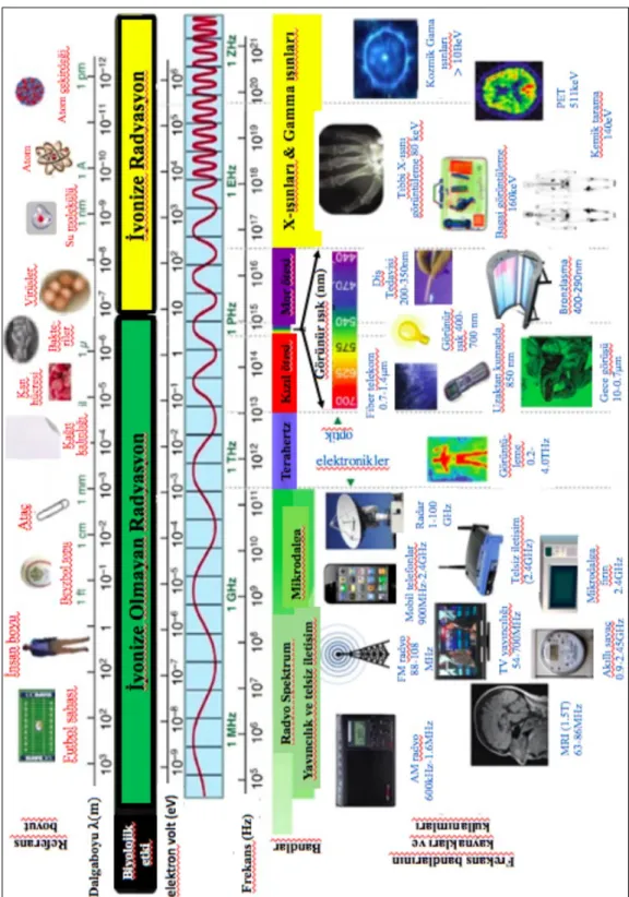 Şekil 6. Elektromanyetik spektrum (44). 