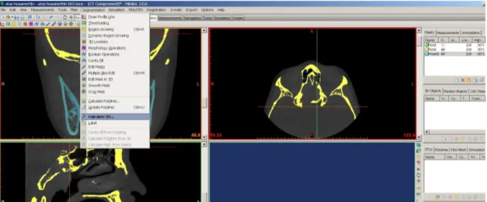 Şekil 3.25. ‘Calculate 3D’ sekmesinin seçilmesi