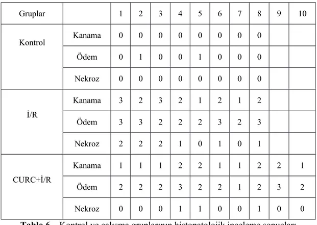 Tablo 6.   Kontrol ve çalışma gruplarının histopatolojik inceleme sonuçları 4.2.1. Kanama