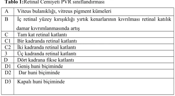 Tablo 1:Retinal Cemiyeti PVR sınıflandırması
