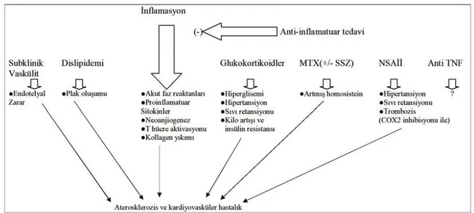Şekil 1. Romatoid artritte kardiyovasküler hastalık gelişiminde rol oynayan muhtemel mekanizmalar (111)