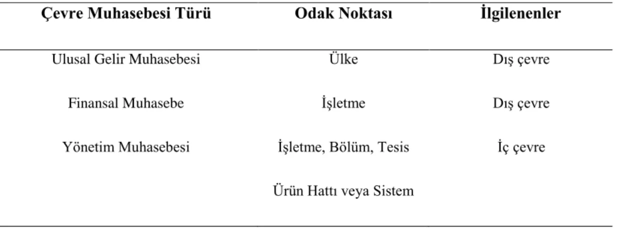 Tablo 2.1. Çevre Muhasebesi Kullanım Alanları 