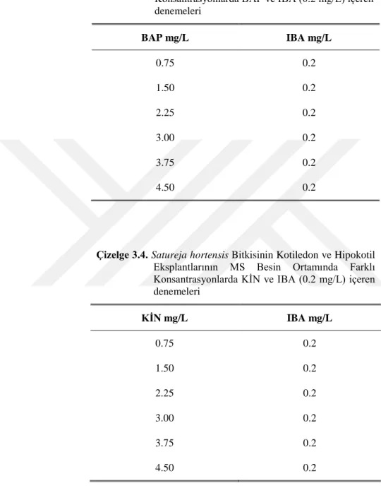 Çizelge 3.3. Satureja hortensis Bitkisinin Kotiledon ve Hipokotil  Eksplantlarının  Besin  Ortamında  Farklı  Konsantrasyonlarda BAP ve IBA (0.2 mg/L) içeren  denemeleri  BAP mg/L  IBA mg/L  0.75  0.2  1.50  0.2  2.25  0.2  3.00  0.2  3.75  0.2  4.50  0.2 