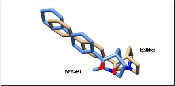 Figure 4.1. Superimpose structure of docked inhibitor with its original BPH-651 coordinates in the  complex with CrtM 