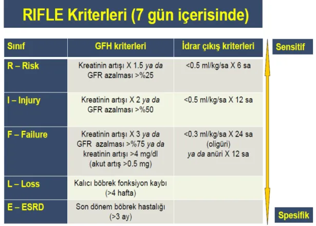 Tablo :9  RIFLE sınıflaması(141) 