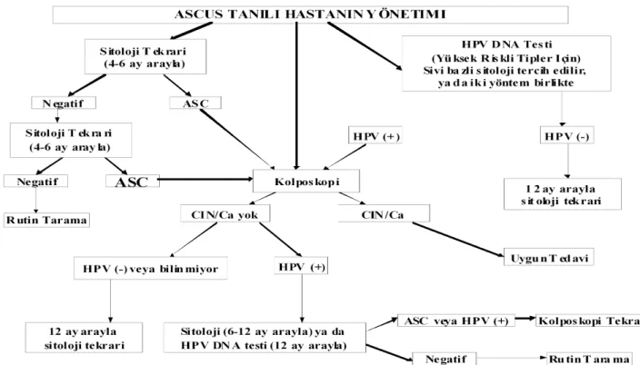 Şekil 10 : ASCUS yönetimi